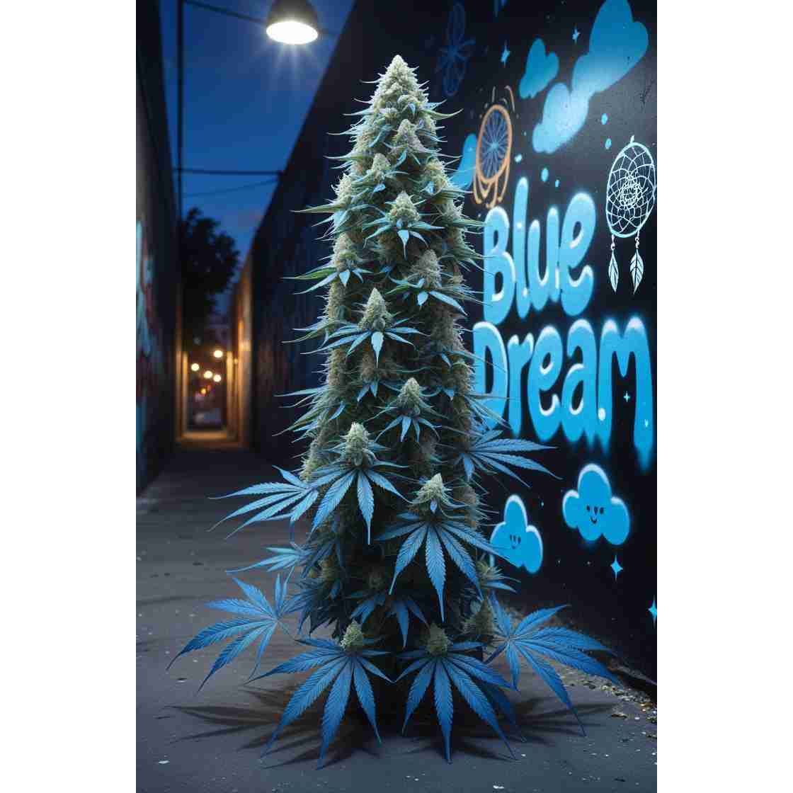 G14 THC Blue Dream