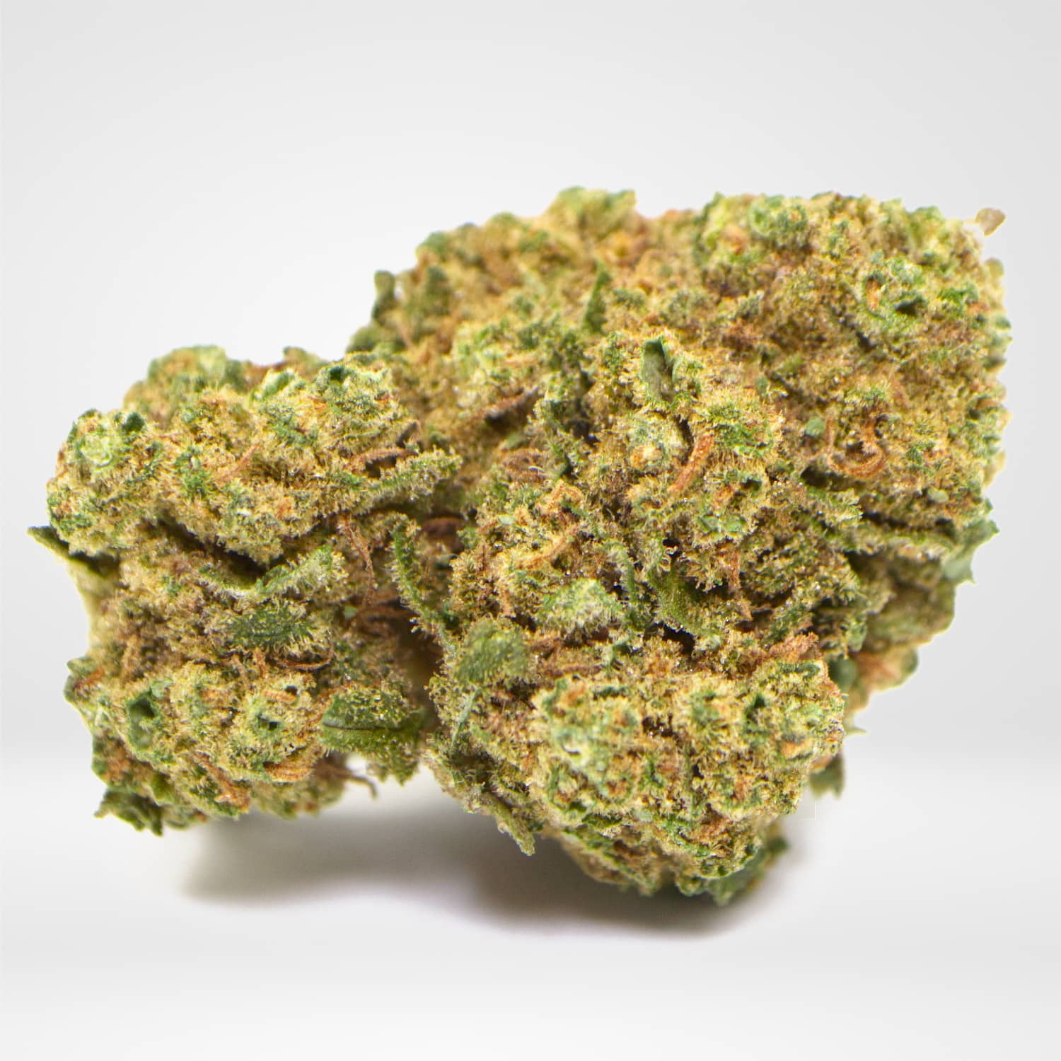 H4CBD Amnesia Haze Flower Tea