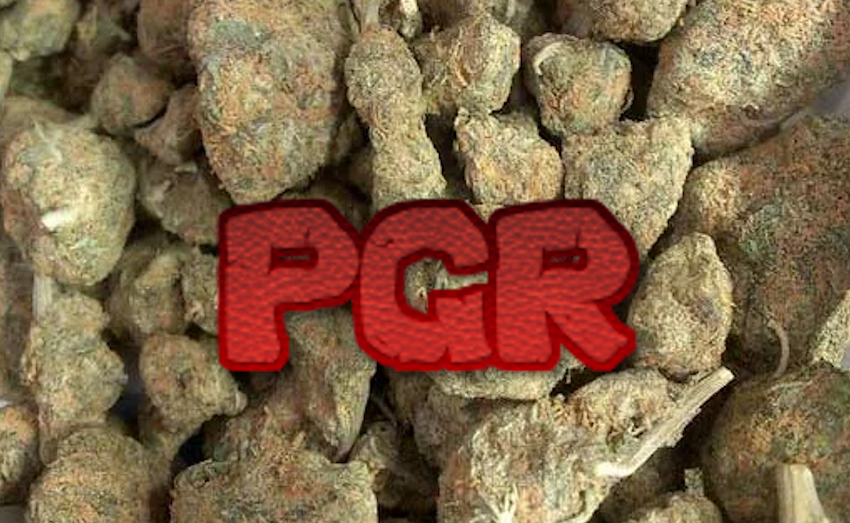 Why PGR Cannabis Feels Stronger – But Not in a Good Way